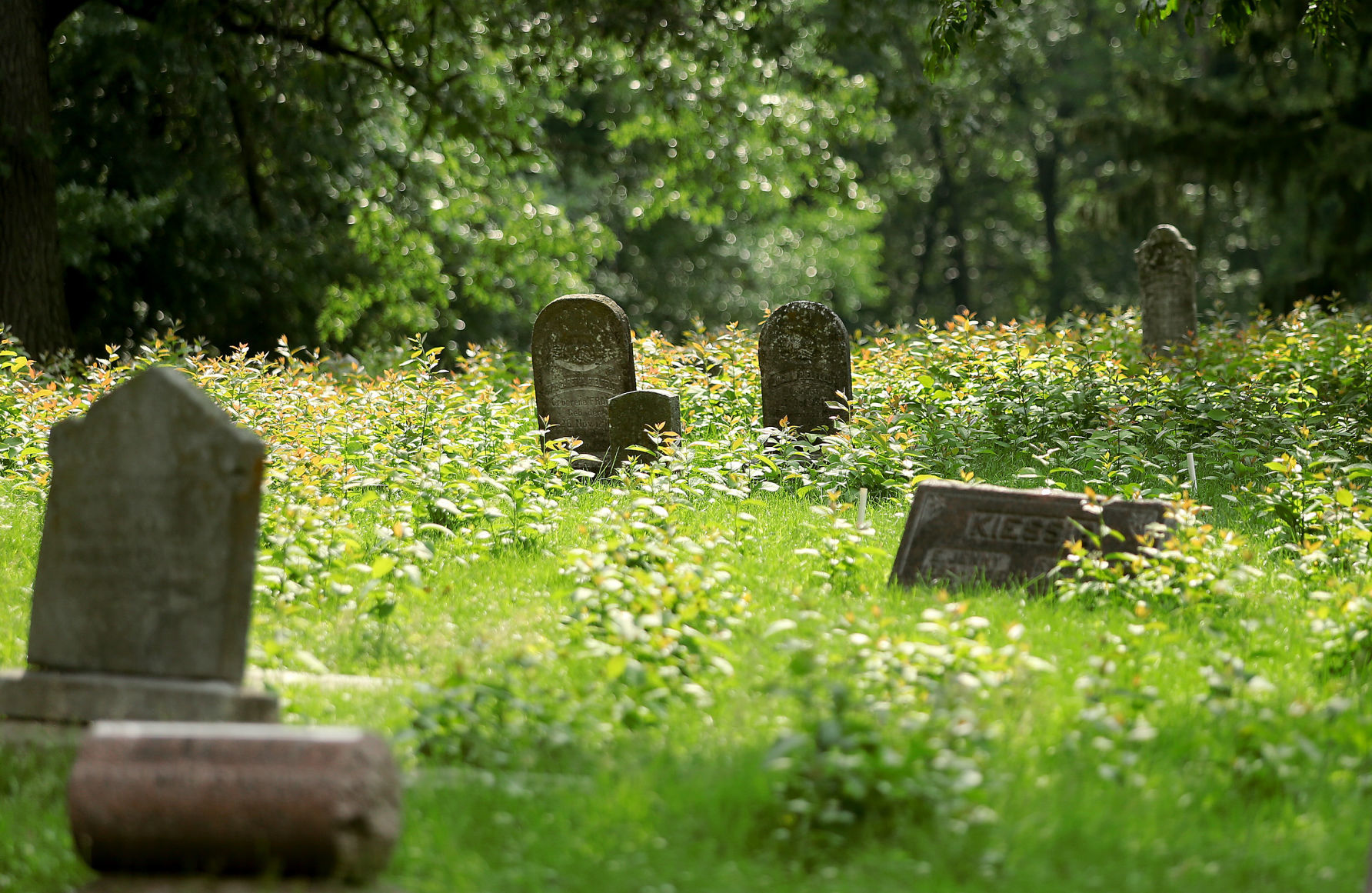 Fairmount Cemetery 20